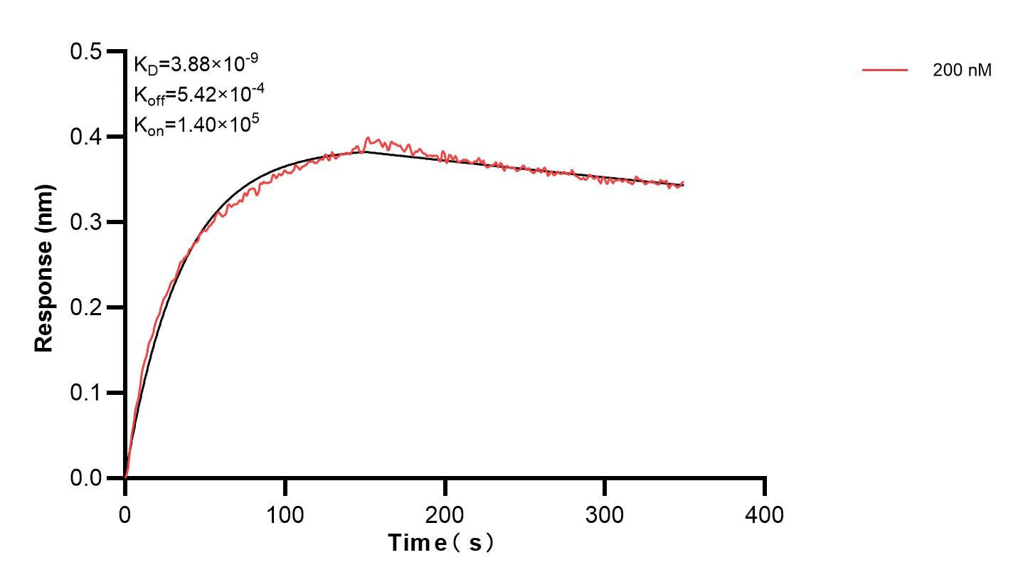 Affinity and Kinetic Characterization of 83101-5-PBS
