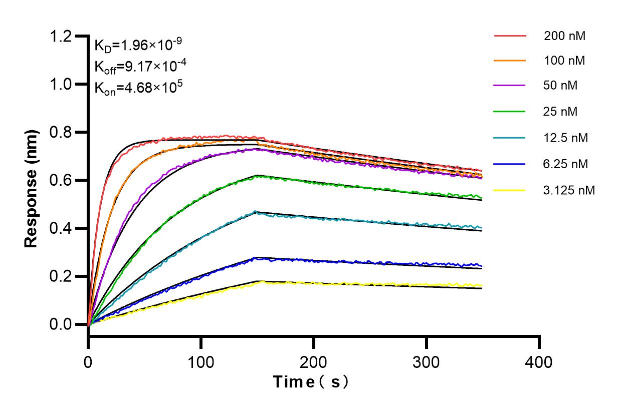 Affinity and Kinetic Characterization of 83105-4-PBS