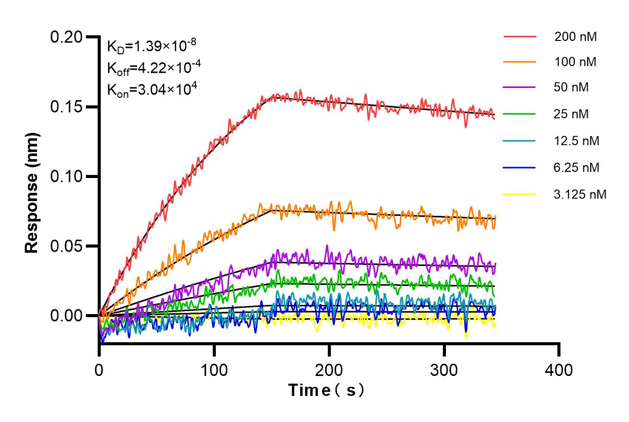 Affinity and Kinetic Characterization of 83105-6-RR