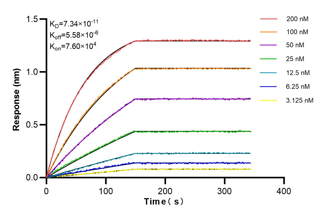 Affinity and Kinetic Characterization of 83112-4-RR