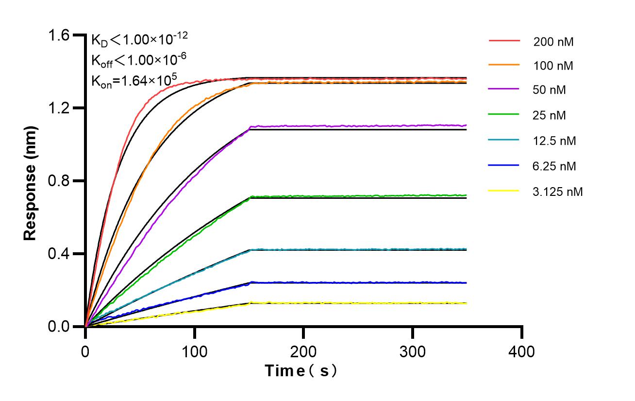 Affinity of 83114-6-RR