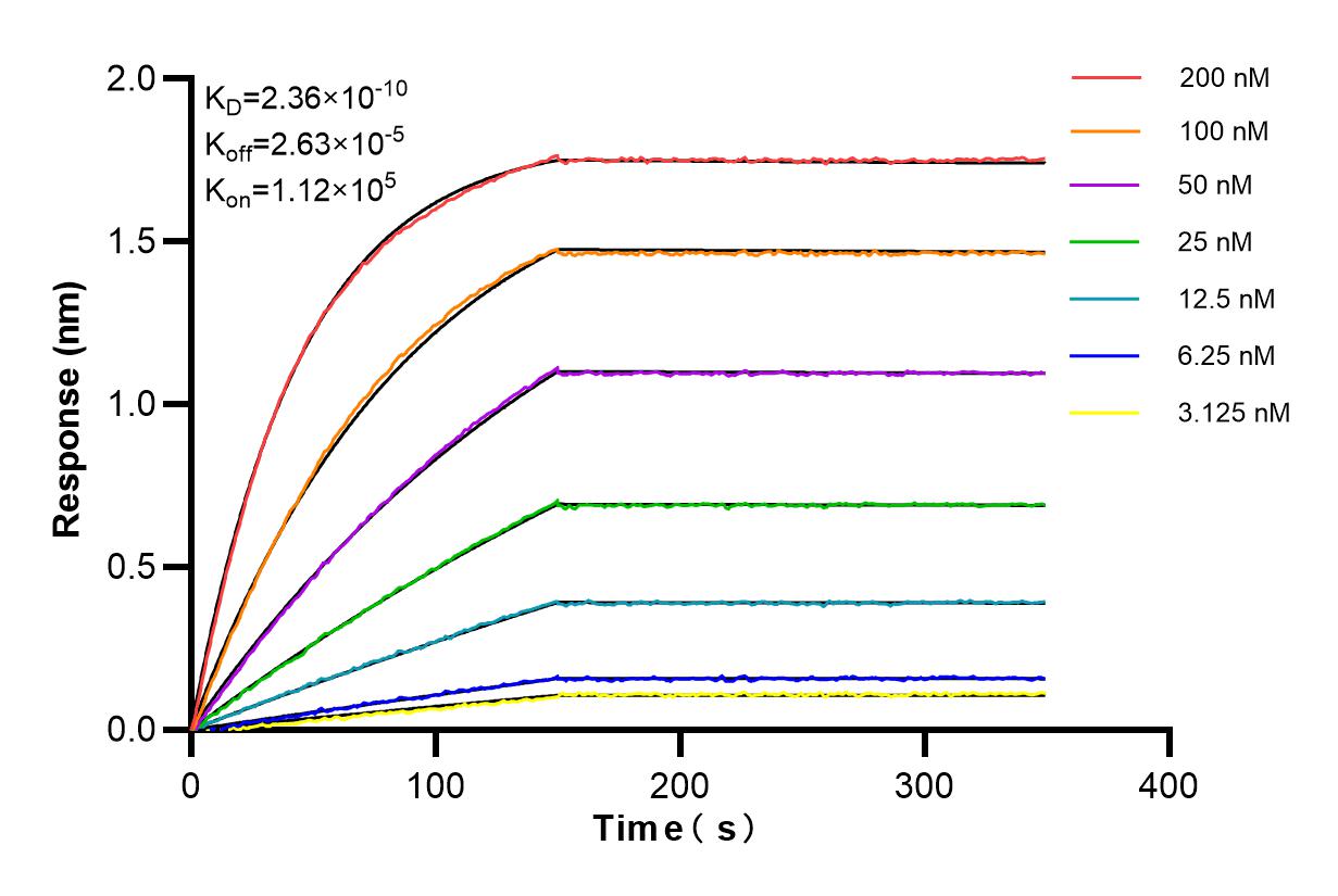 Affinity and Kinetic Characterization of 83123-6-RR