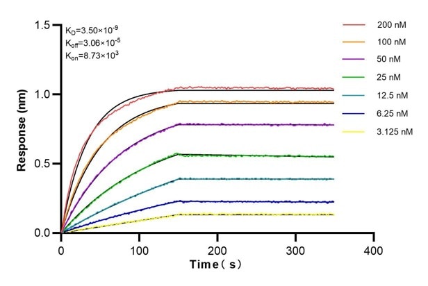 Affinity and Kinetic Characterization of 83141-2-PBS