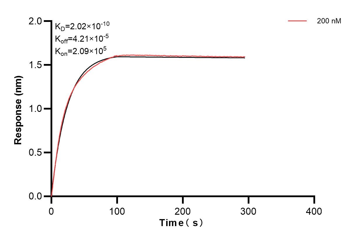 Affinity and Kinetic Characterization of 83147-1-PBS