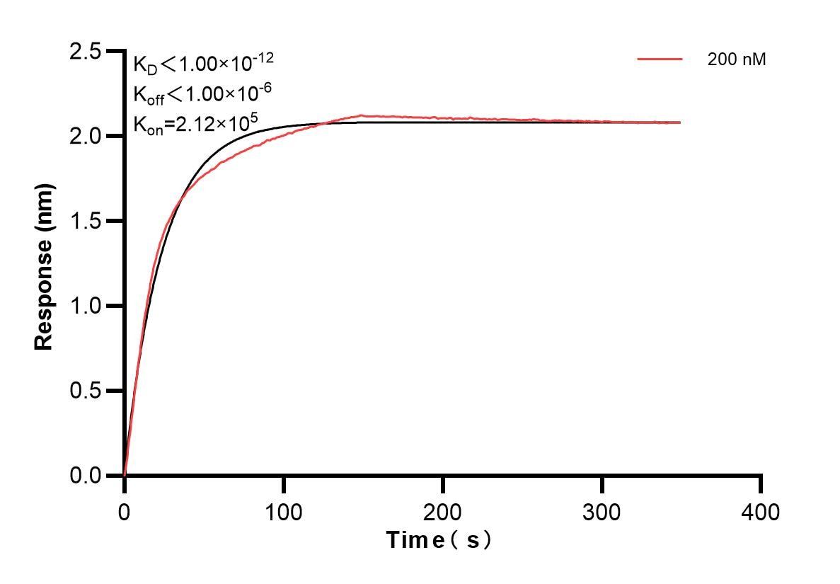 Affinity and Kinetic Characterization of 83147-2-PBS
