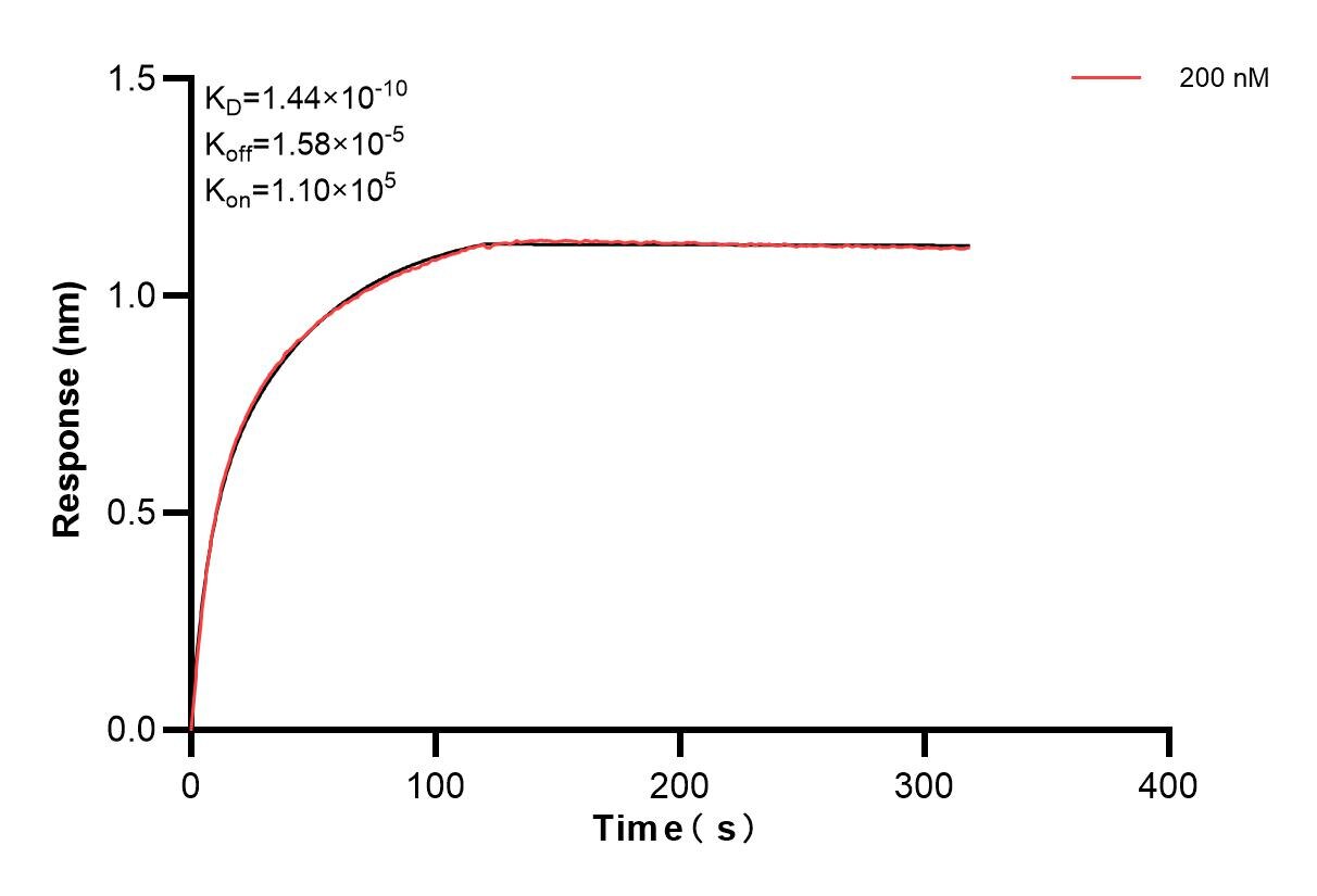 Affinity and Kinetic Characterization of 83150-1-PBS