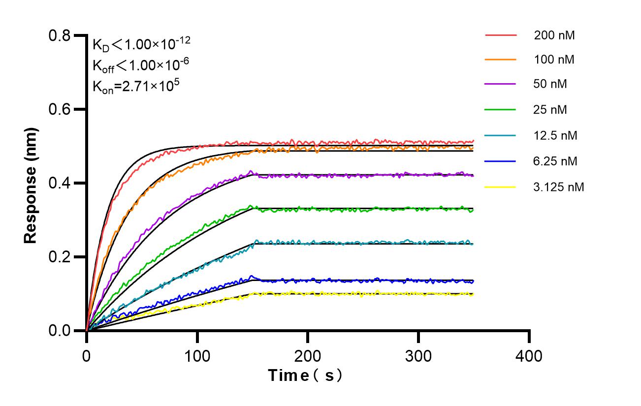 Affinity and Kinetic Characterization of 83157-4-PBS
