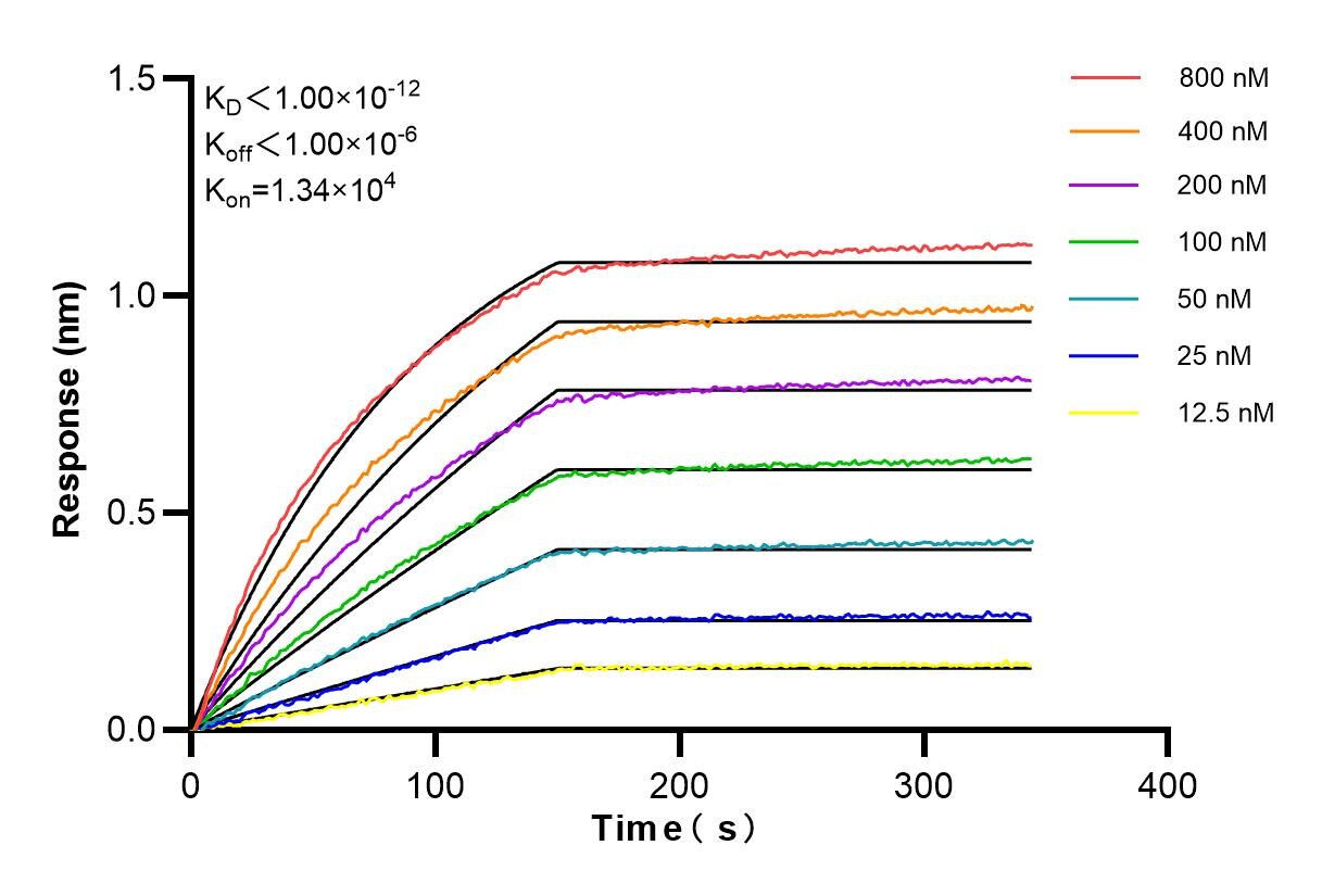 Affinity and Kinetic Characterization of 83170-1-PBS