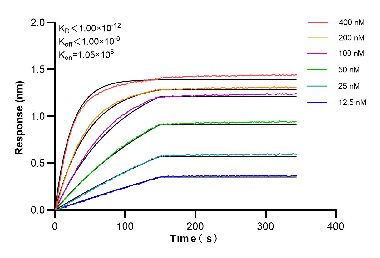 Affinity and Kinetic Characterization of 83170-2-PBS