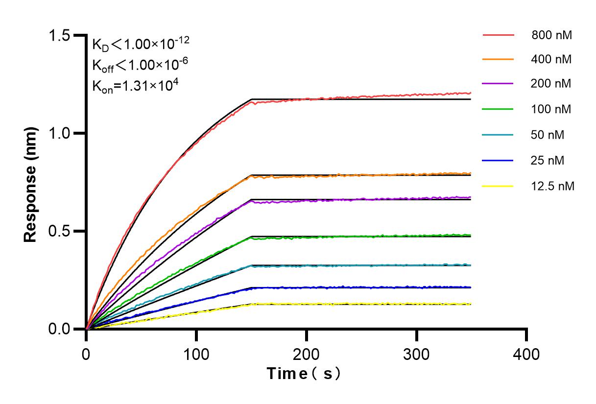 Affinity and Kinetic Characterization of 83170-4-PBS