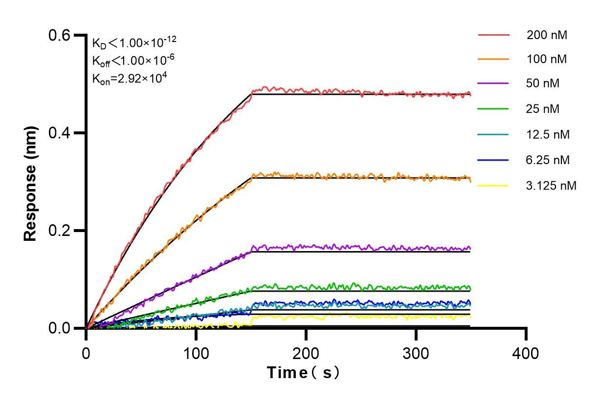 Affinity and Kinetic Characterization of 83173-1-RR