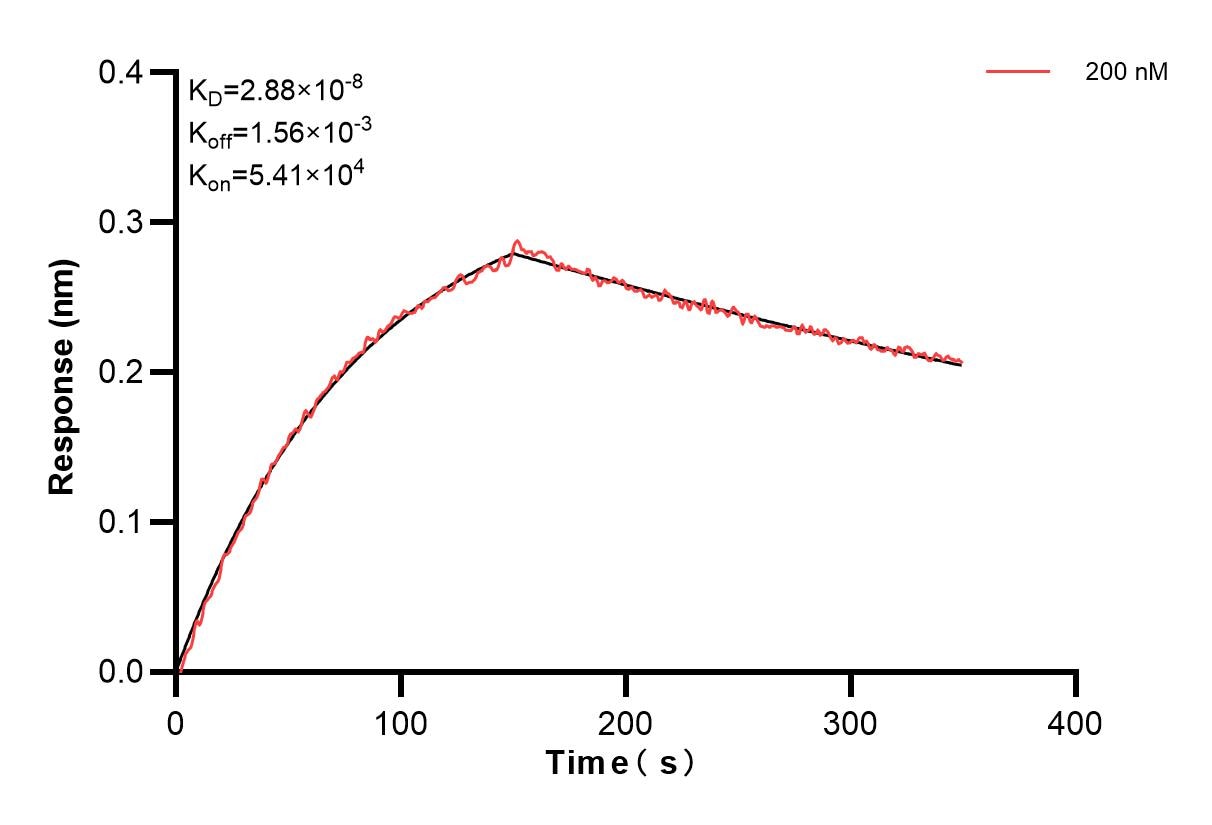 Affinity and Kinetic Characterization of 83179-3-PBS