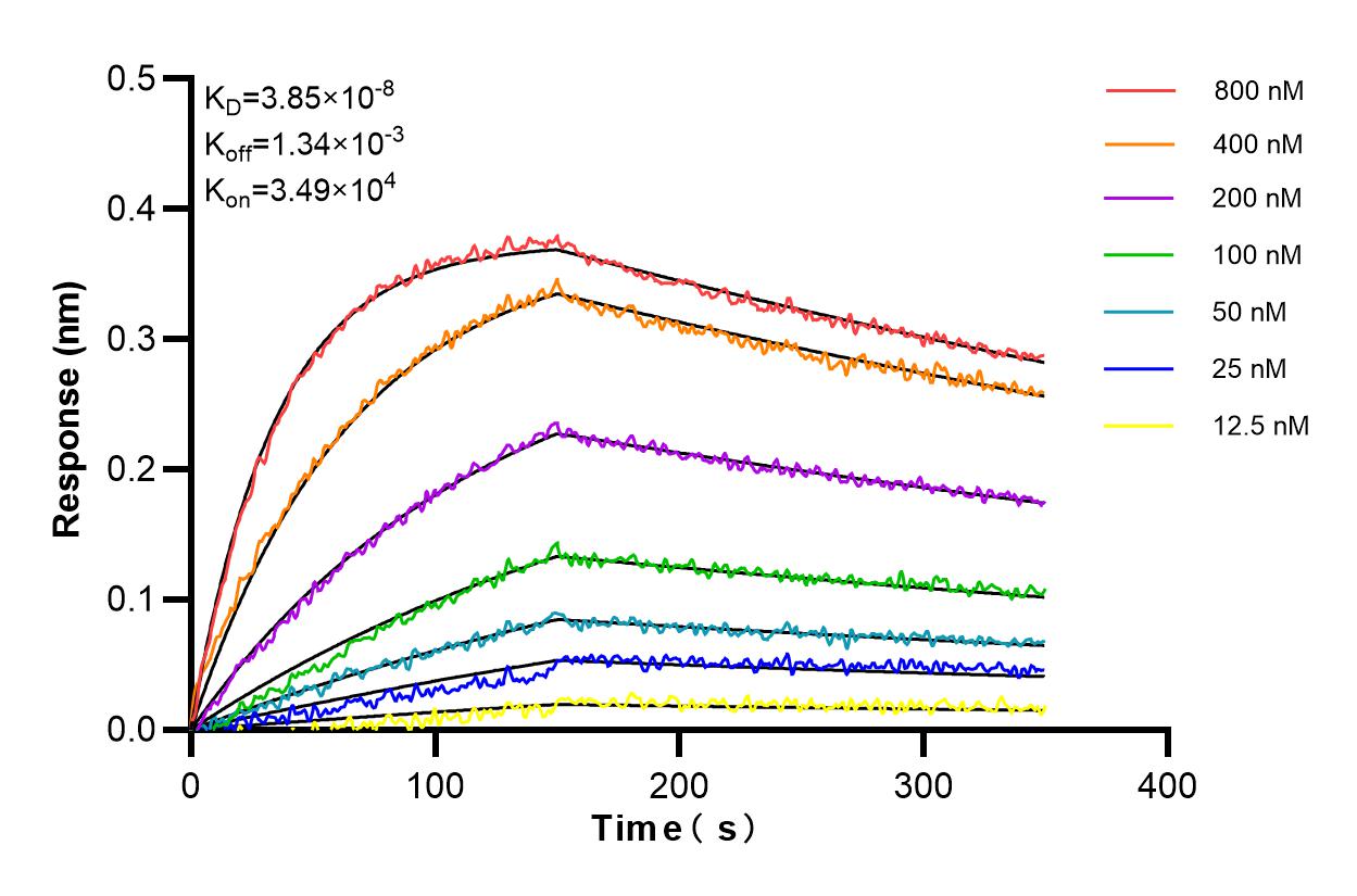 Affinity and Kinetic Characterization of 83179-3-PBS