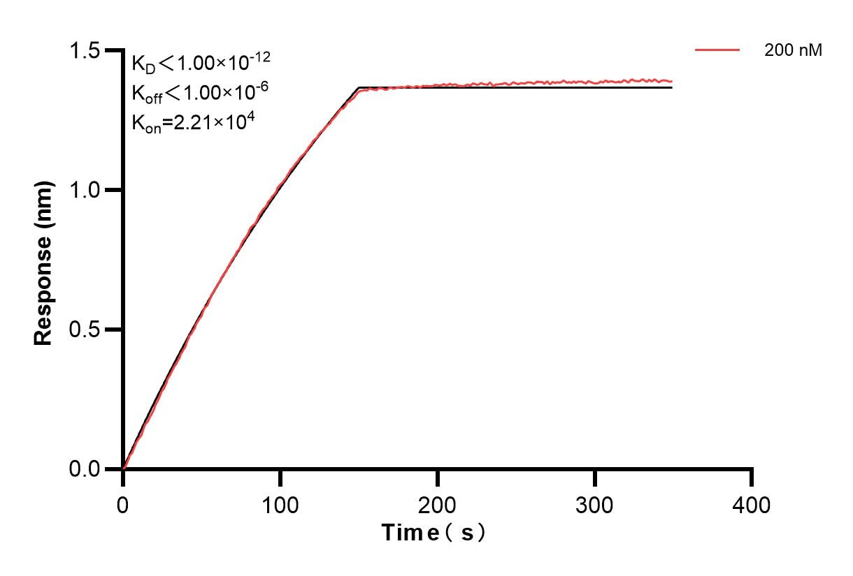 Affinity and Kinetic Characterization of 83188-3-PBS