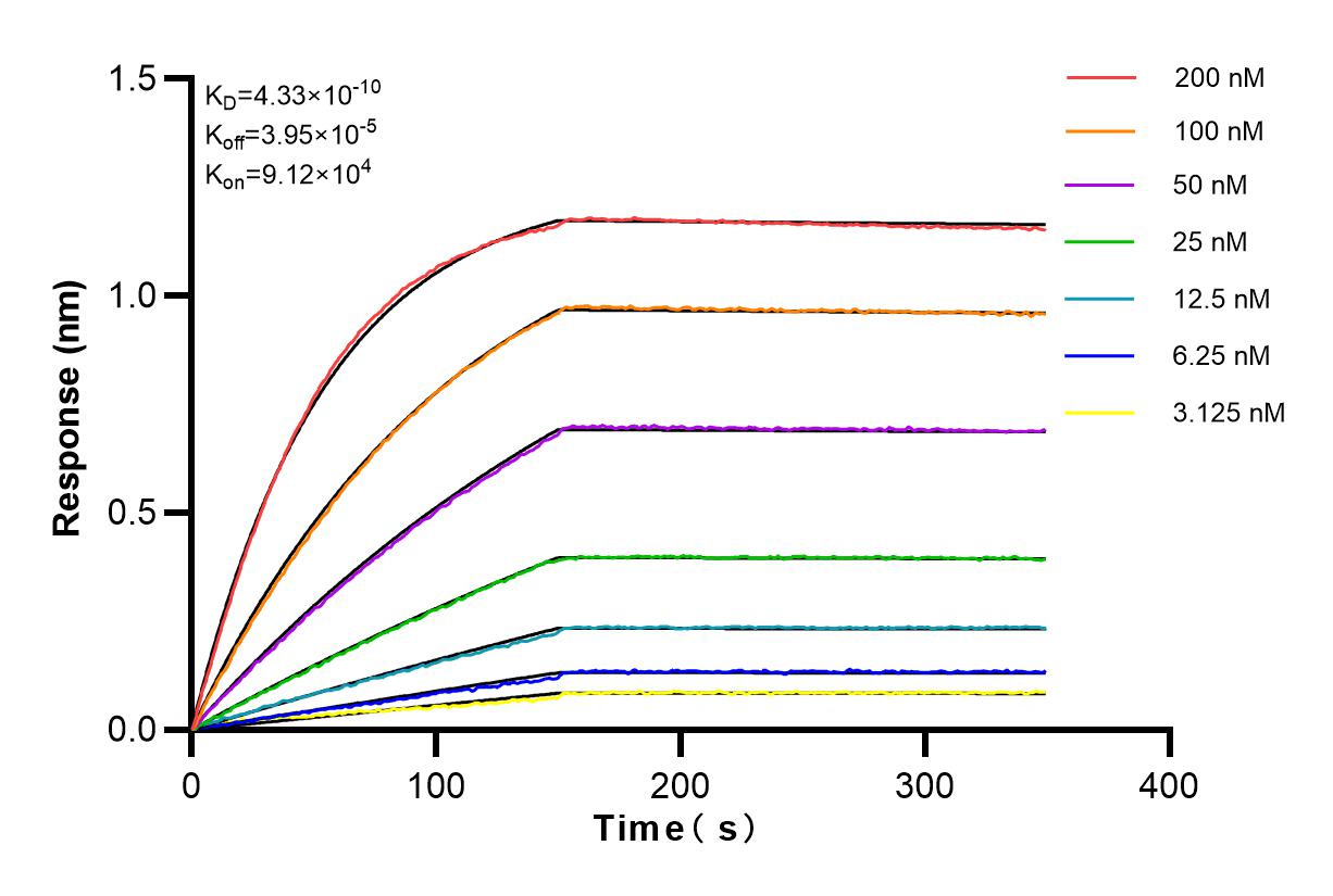Affinity and Kinetic Characterization of 83189-3-RR