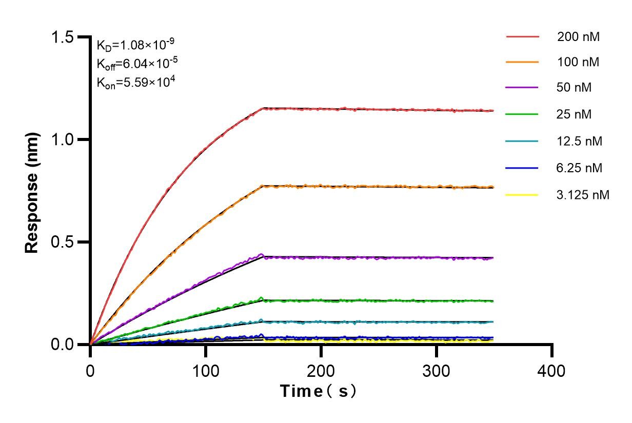 Affinity and Kinetic Characterization of 83192-1-RR