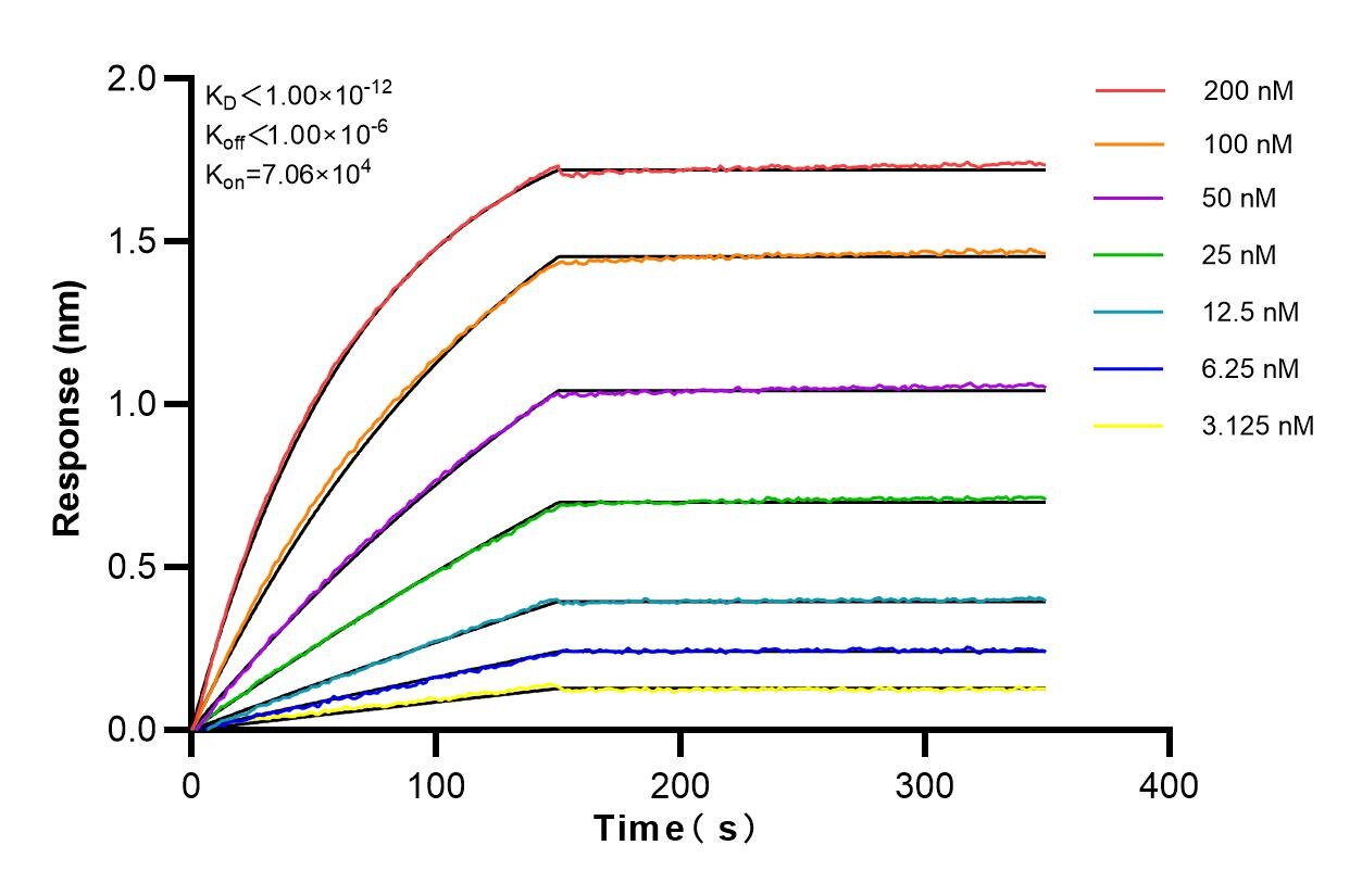 Affinity and Kinetic Characterization of 83196-4-RR