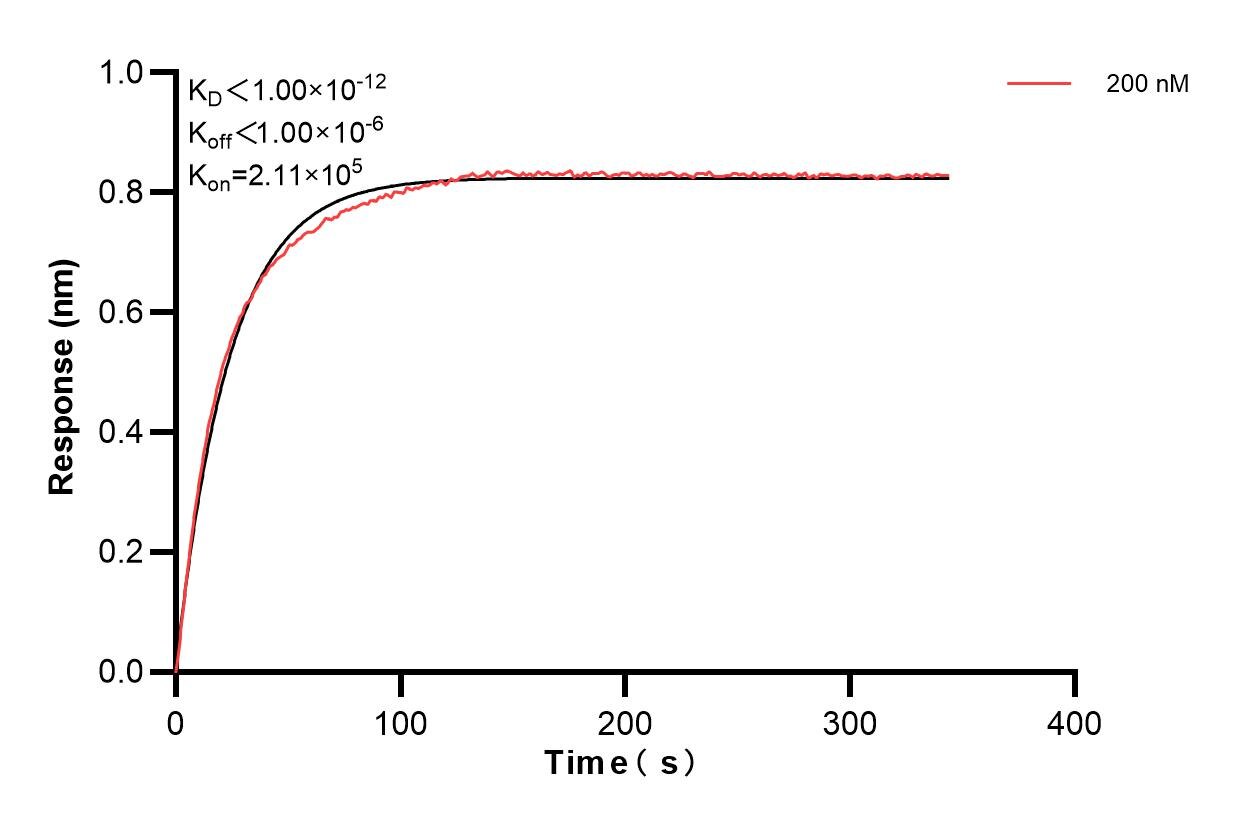 Affinity and Kinetic Characterization of 83204-1-PBS