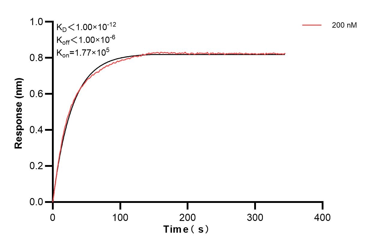 Affinity and Kinetic Characterization of 83204-3-PBS