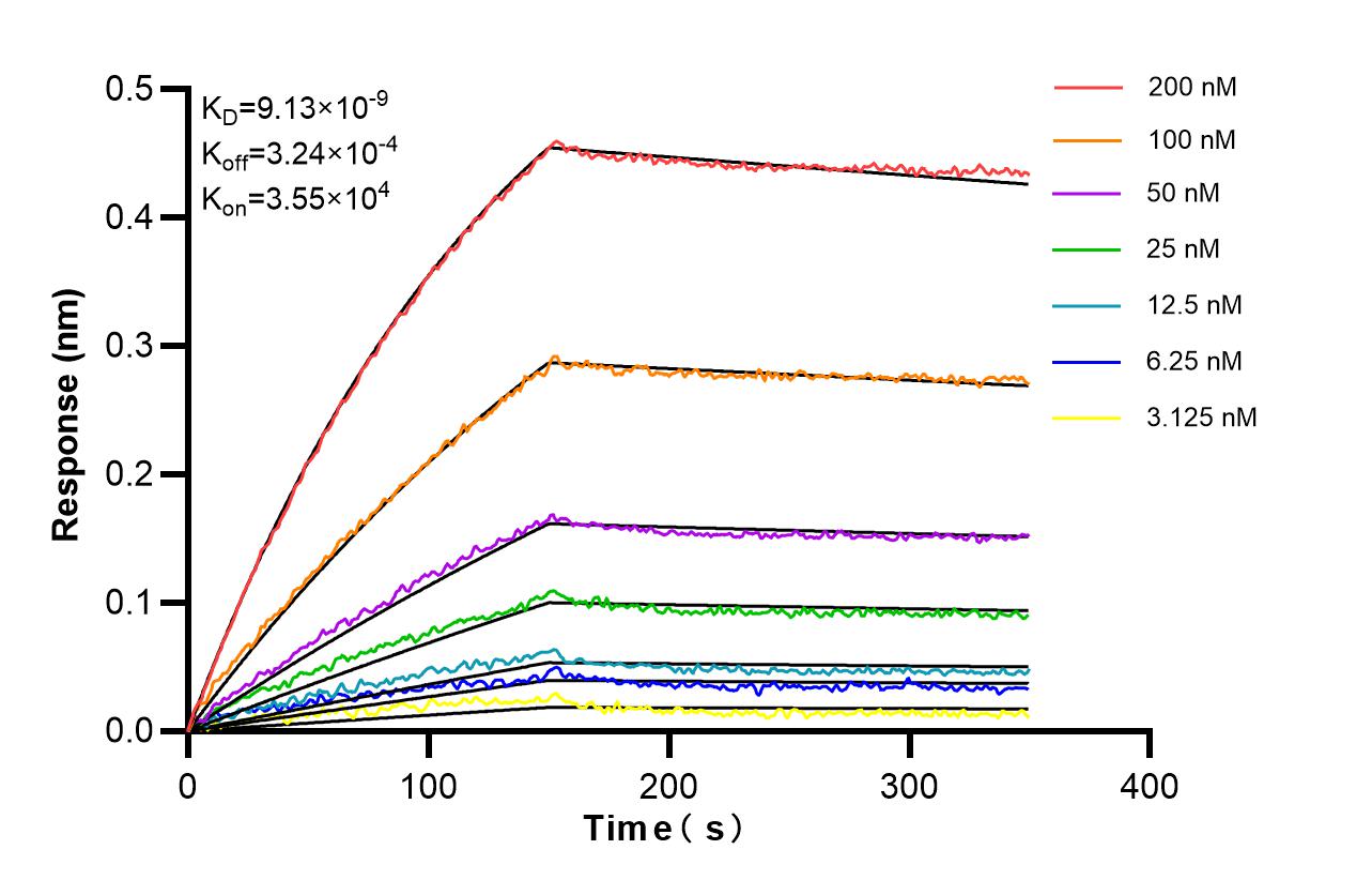 Affinity of 83213-10-RR