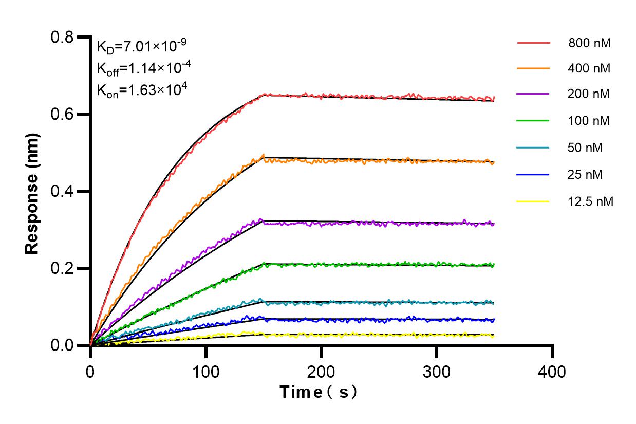 Affinity and Kinetic Characterization of 83214-1-PBS