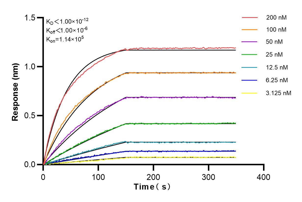 Affinity and Kinetic Characterization of 83227-1-RR