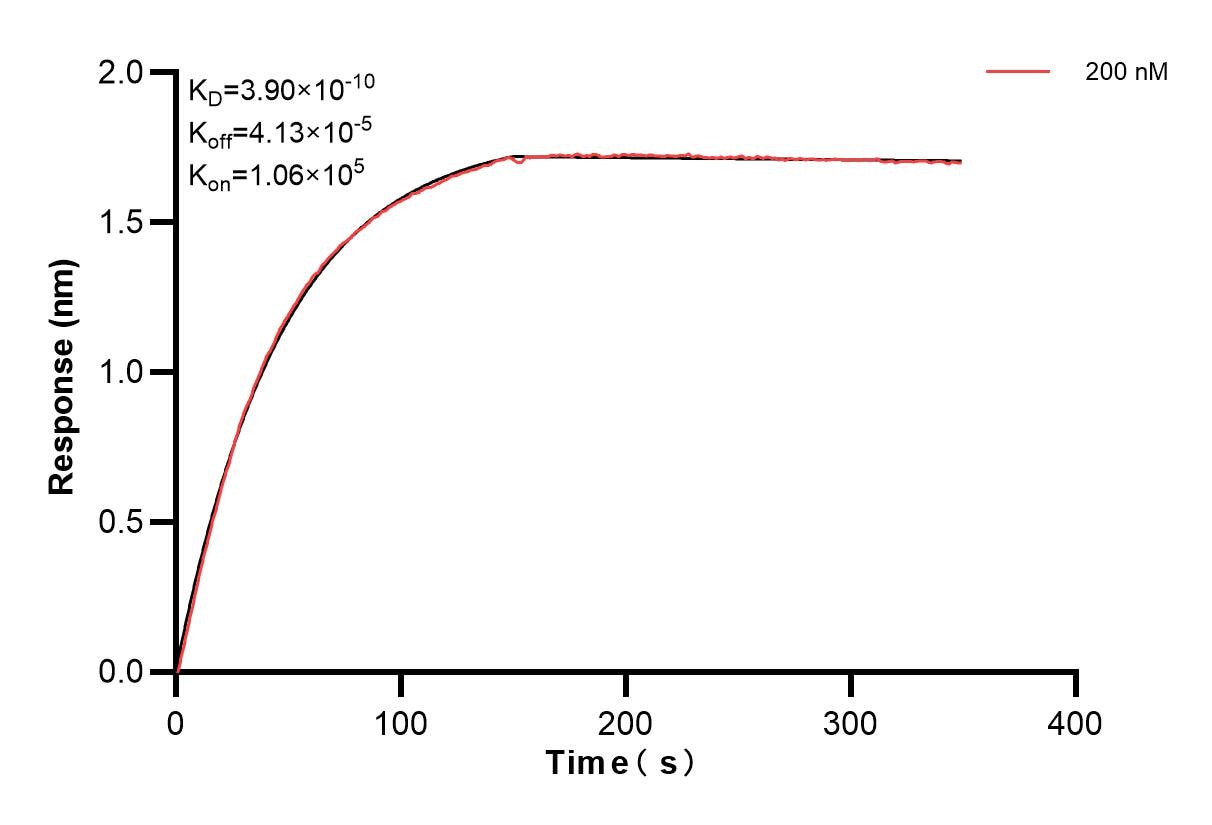 Affinity and Kinetic Characterization of 83229-1-PBS