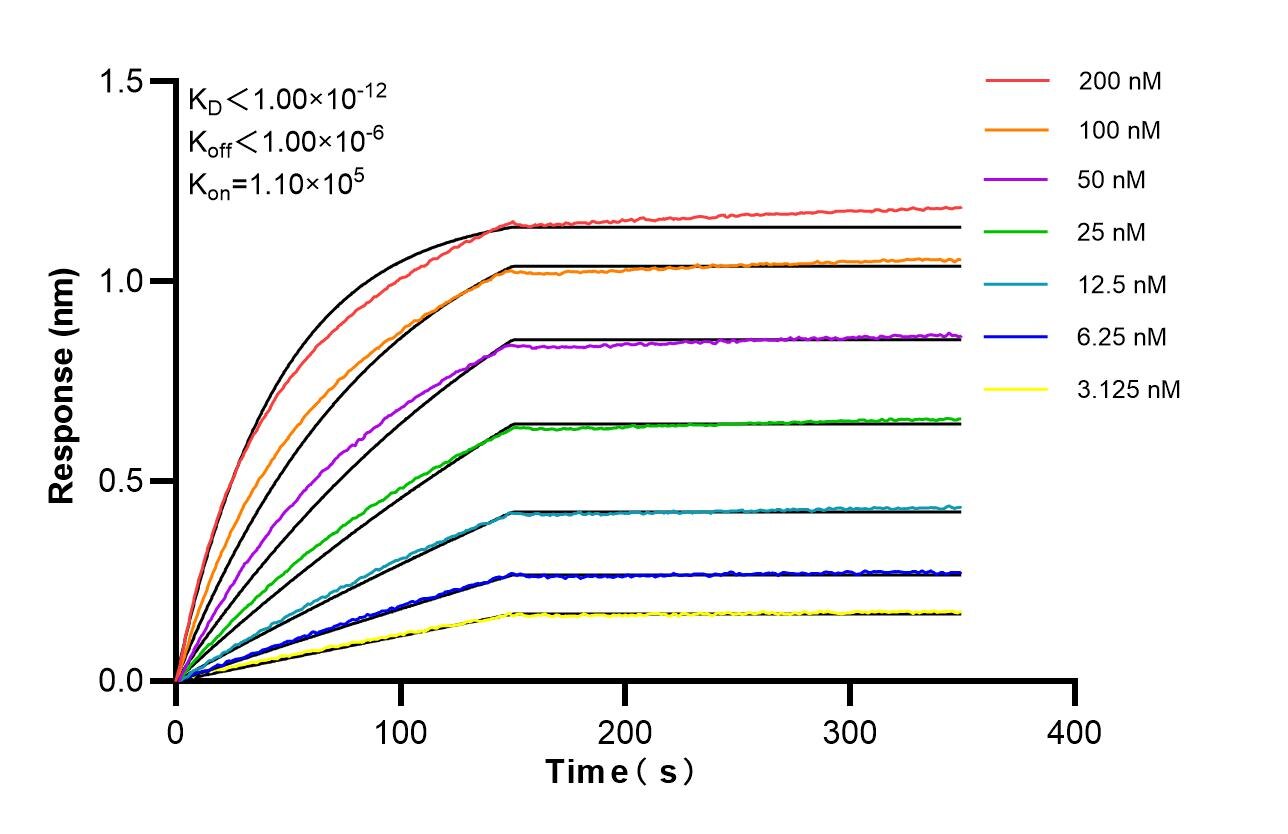 Affinity of 83229-5-RR