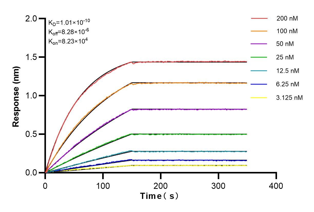 Affinity and Kinetic Characterization of 83245-1-RR