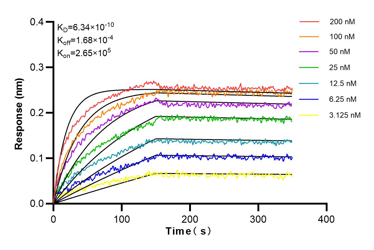 Affinity and Kinetic Characterization of 83246-6-RR