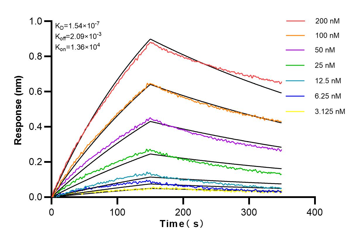 Affinity and Kinetic Characterization of 83250-2-RR