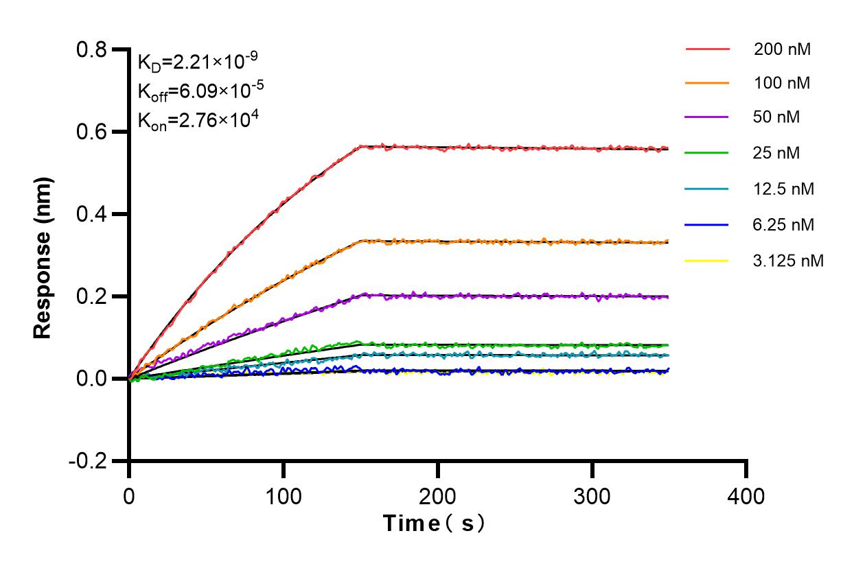 Affinity and Kinetic Characterization of 83257-5-RR