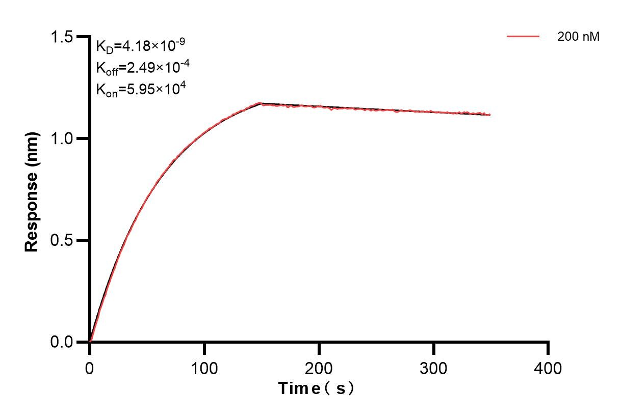 Affinity and Kinetic Characterization of 83258-3-PBS