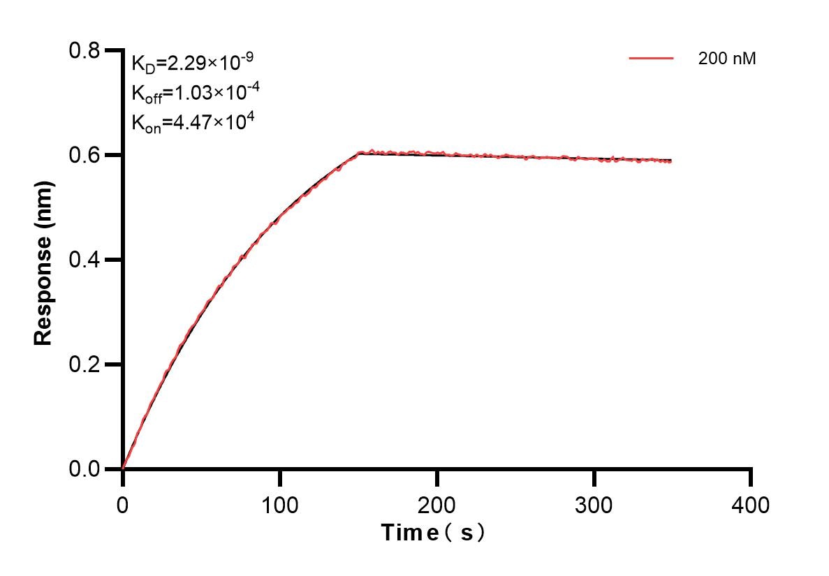 Affinity and Kinetic Characterization of 83259-1-PBS