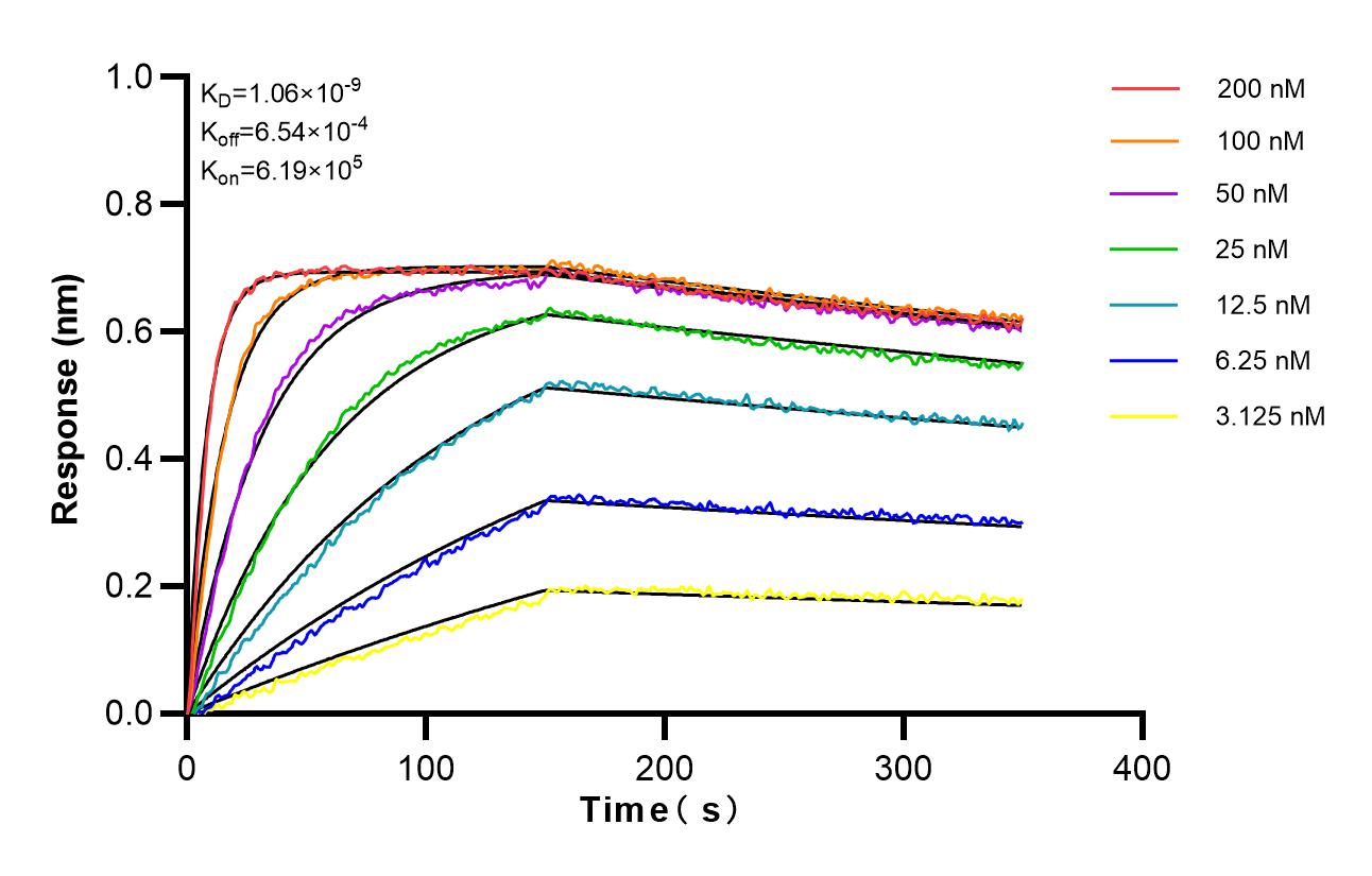 Affinity and Kinetic Characterization of 83263-3-PBS