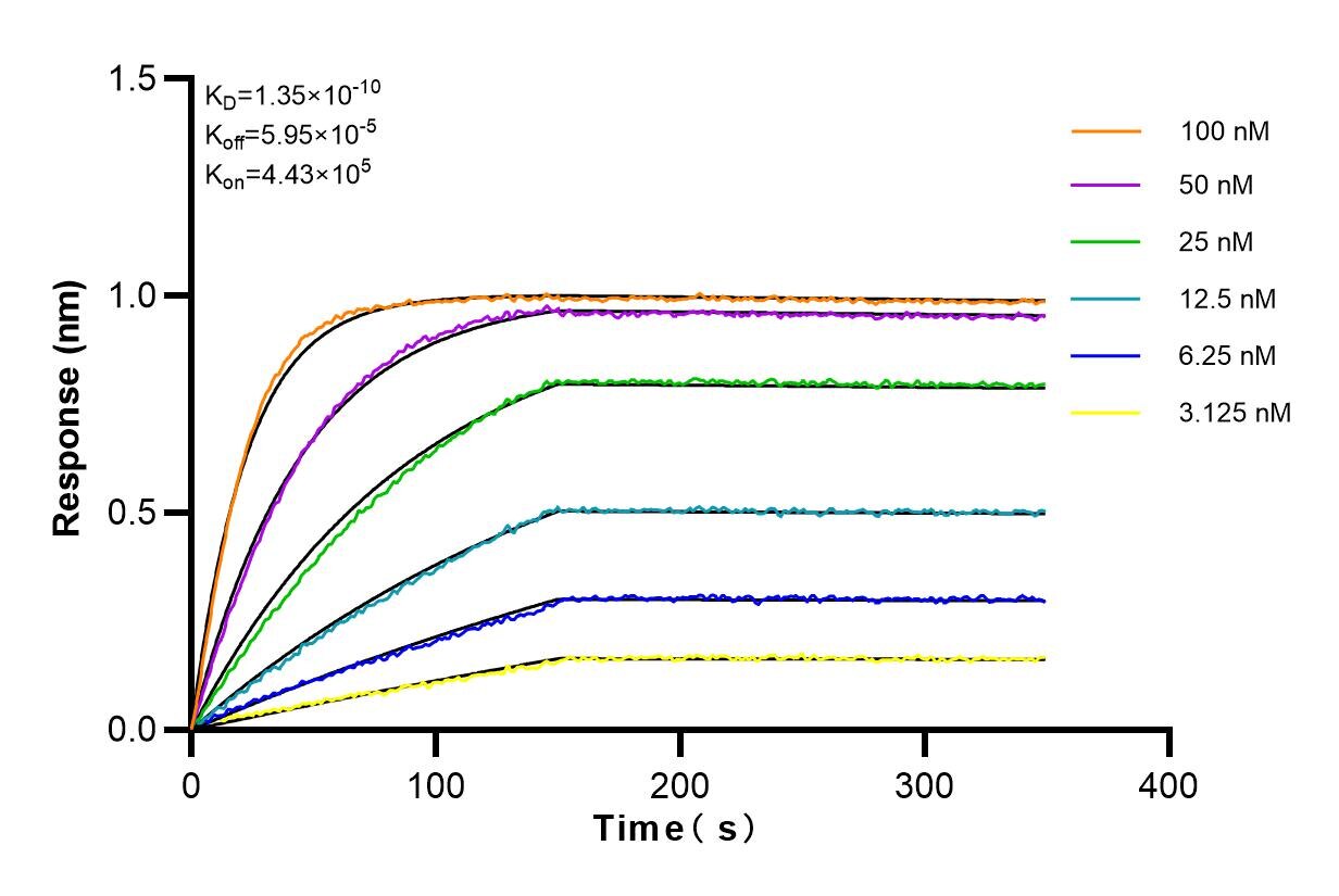 Affinity and Kinetic Characterization of 83263-4-RR