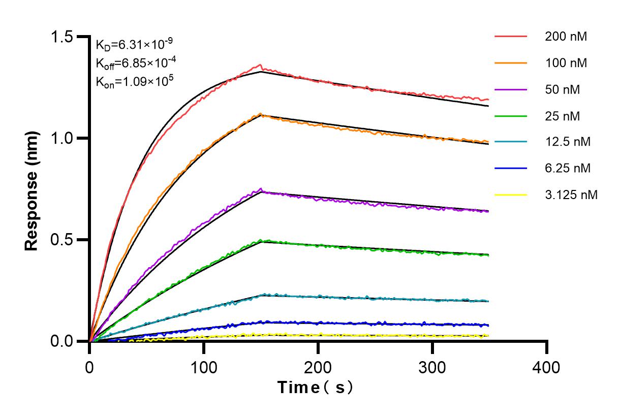Affinity and Kinetic Characterization of 83265-6-RR
