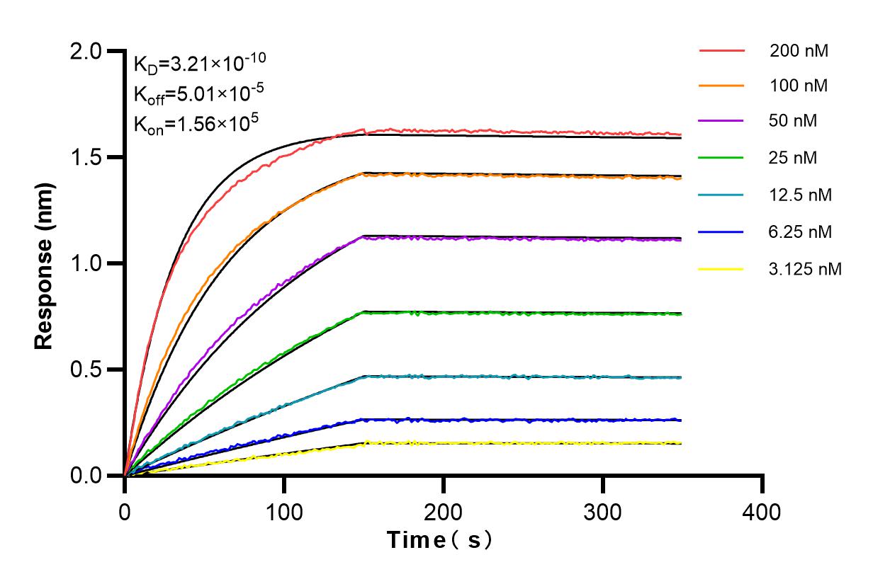 Affinity and Kinetic Characterization of 83265-8-RR