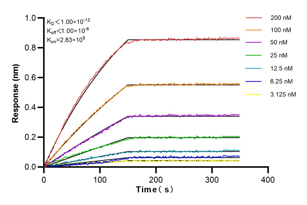 Affinity and Kinetic Characterization of 83272-1-RR