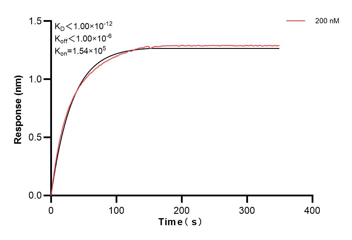 Affinity and Kinetic Characterization of 83281-2-PBS