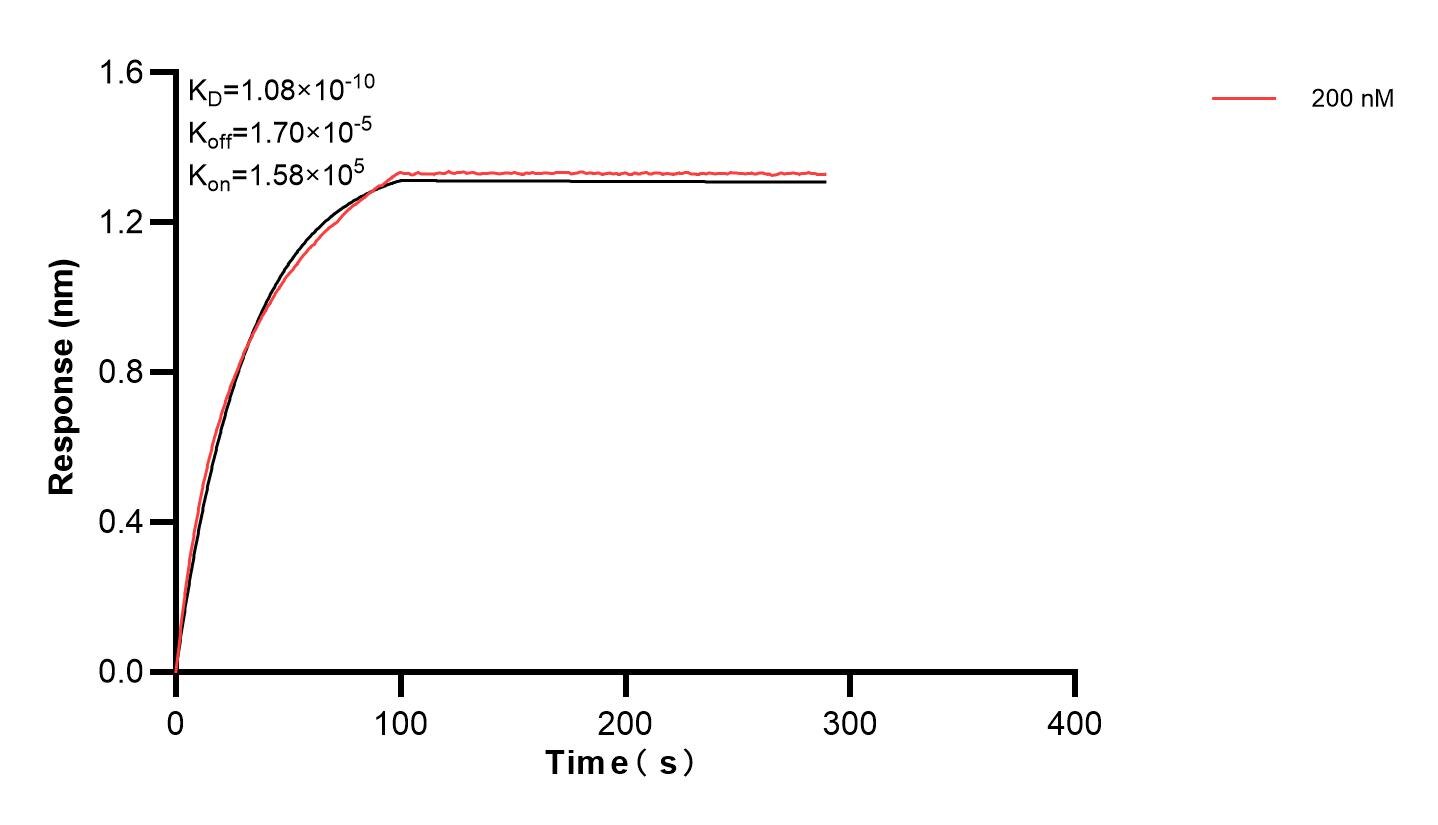 Affinity and Kinetic Characterization of 83281-3-PBS
