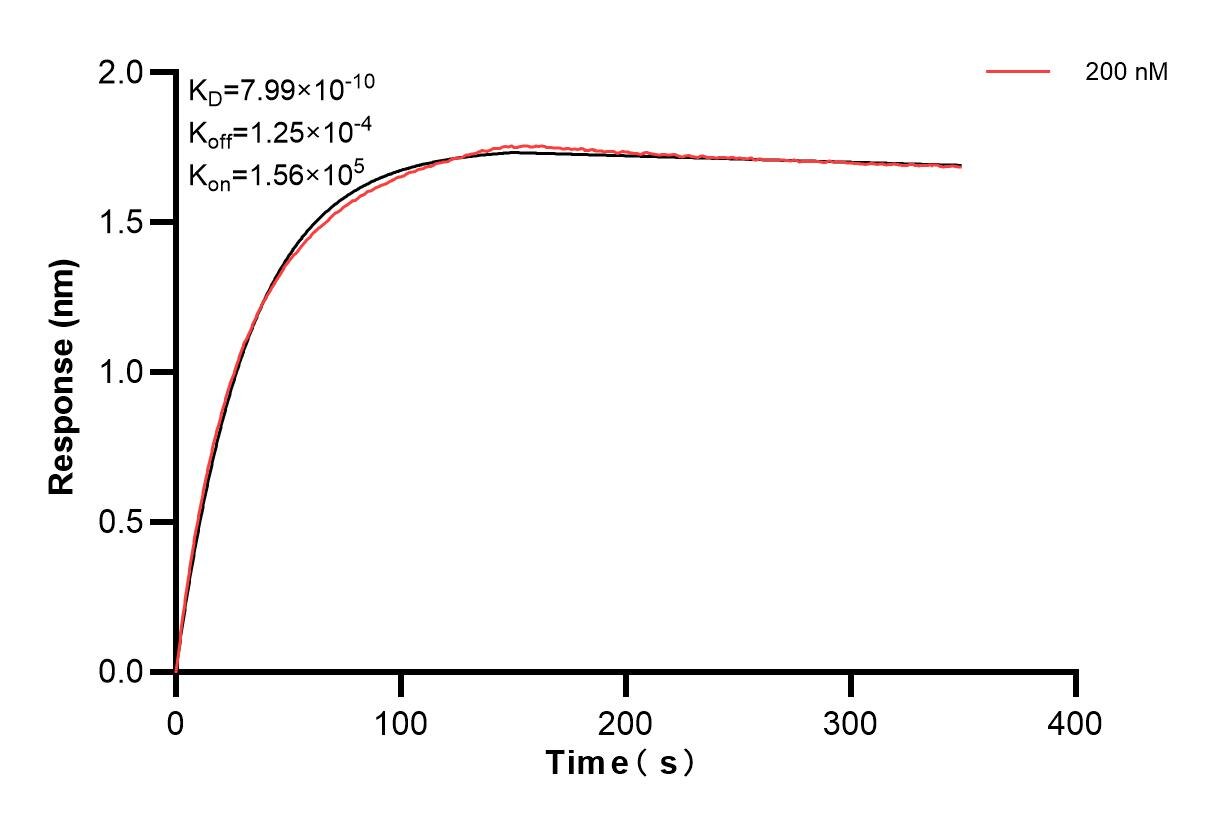 Affinity and Kinetic Characterization of 83281-4-PBS