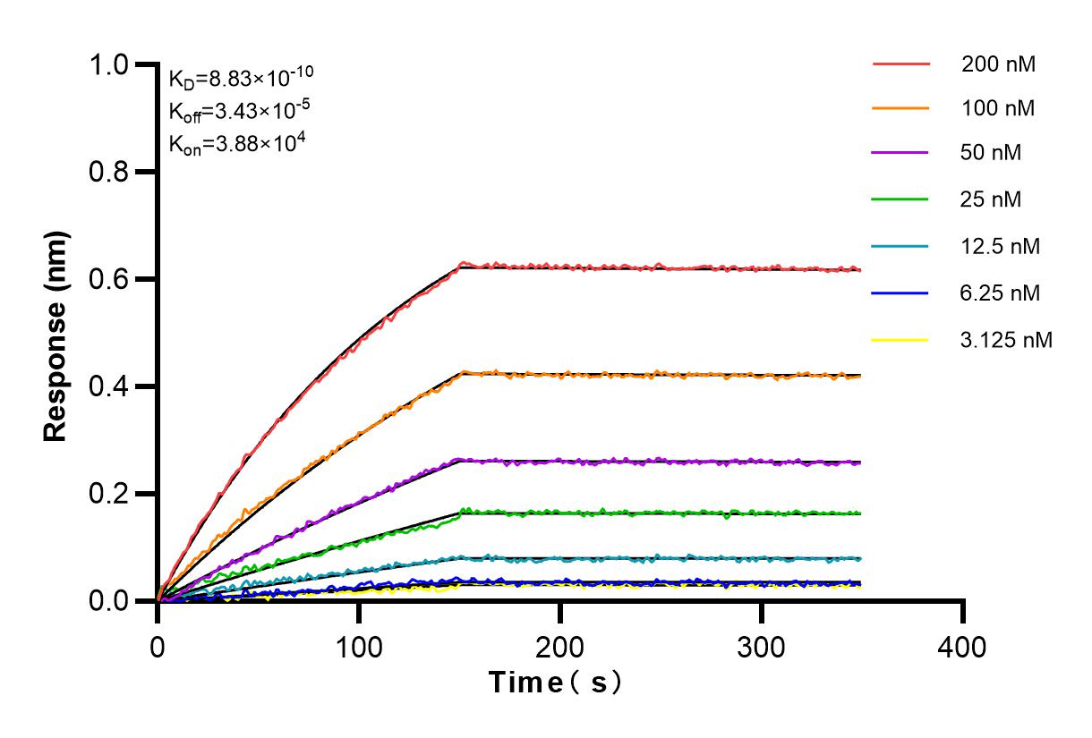 Affinity and Kinetic Characterization of 83289-4-RR
