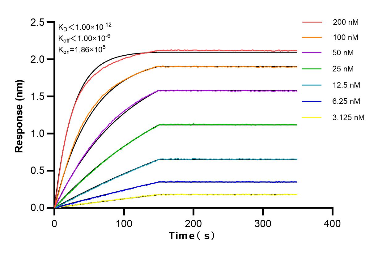 Affinity and Kinetic Characterization of 83290-3-RR