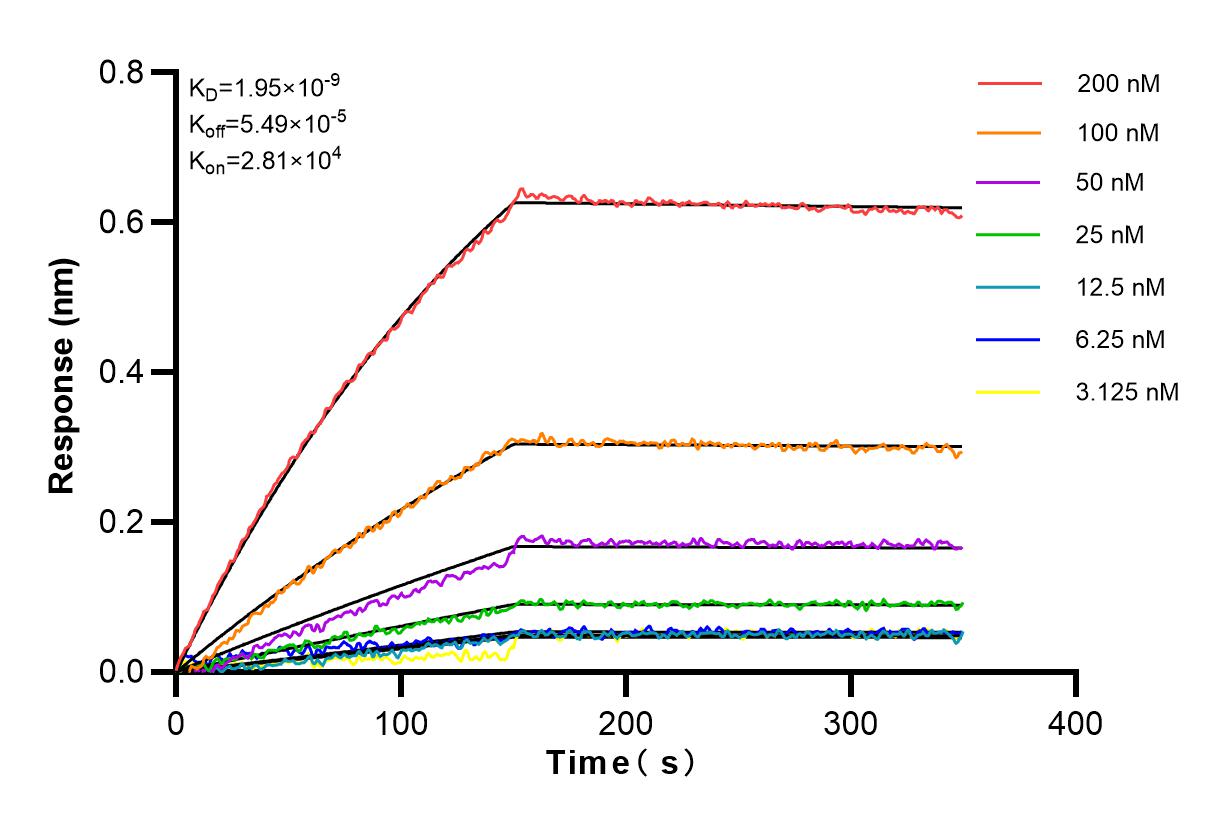 Affinity and Kinetic Characterization of 83295-5-RR