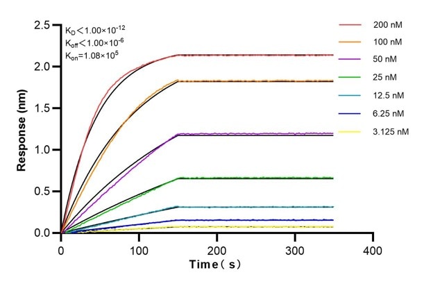 Affinity and Kinetic Characterization of 83298-1-PBS