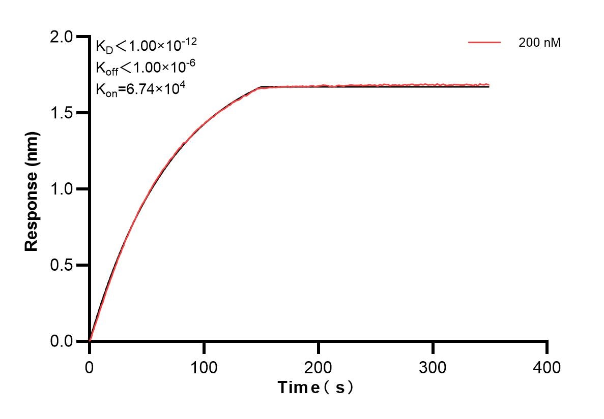 Affinity and Kinetic Characterization of 83298-4-PBS