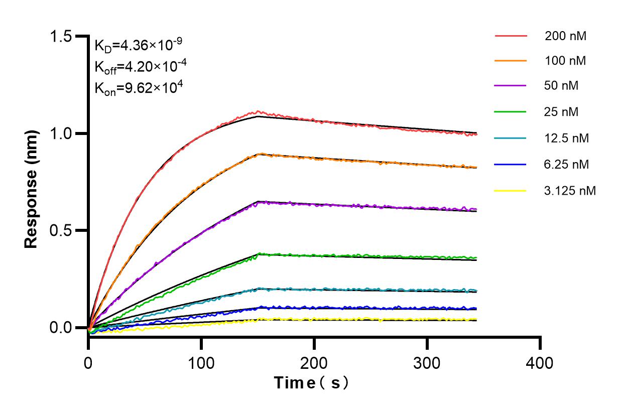 Affinity and Kinetic Characterization of 83300-2-RR