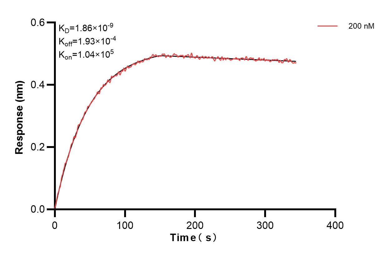 Affinity and Kinetic Characterization of 83304-1-PBS