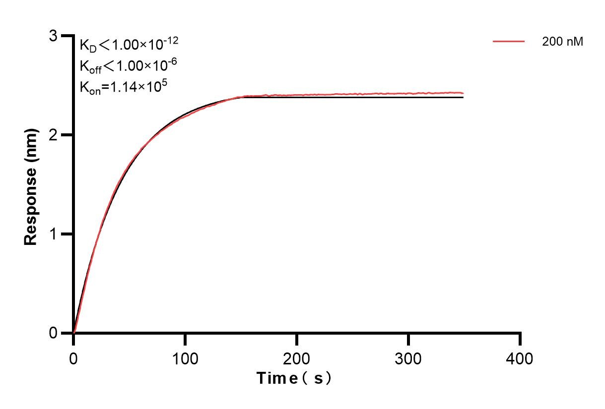 Affinity and Kinetic Characterization of 83305-4-PBS